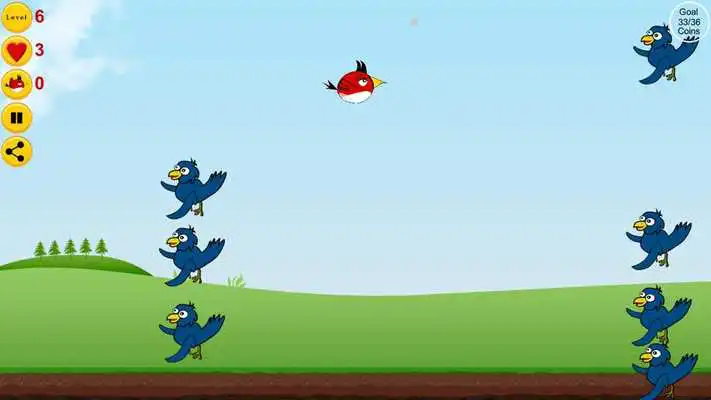 Play Franko And Blue Play Franko And Blue