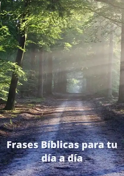 Play Frases bíblicas para tu día a  as an online game Frases bíblicas para tu día a  with UptoPlay