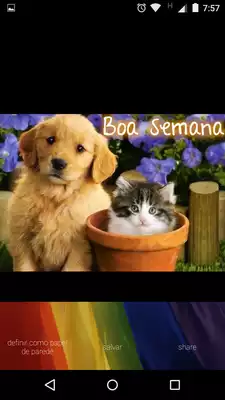 Play frases boa semana em imagens