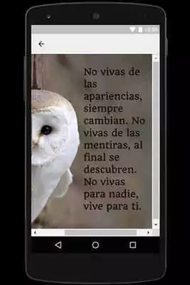 Play Frases Bonitas para Motivar a las personas Play Frases Bonitas para Motivar a las personas