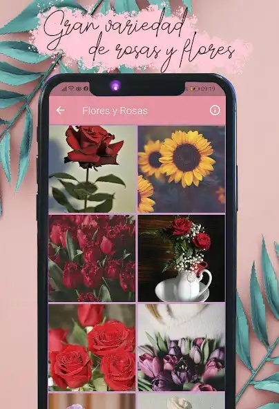 Play Frases de Amor para Mamá as an online game Frases de Amor para Mamá with UptoPlay