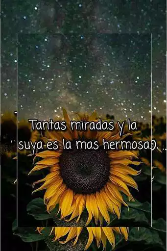 Play Frases De Amor y Desamor  and enjoy Frases De Amor y Desamor with UptoPlay