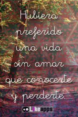 Play FRASES DE AMOR y DESAMOR