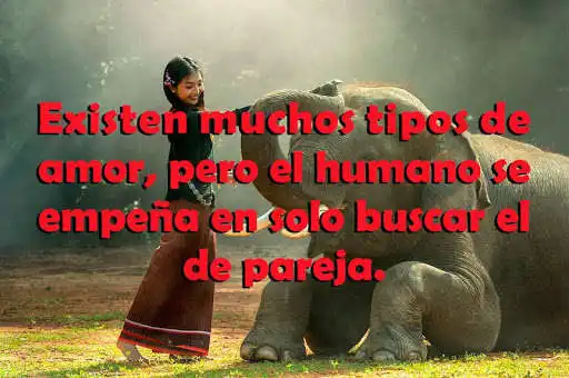 Play APK Frases de Conciencia Animal  and enjoy Frases de Conciencia Animal with UptoPlay com.gmail.labs.appigo.ConcienciaAnimal