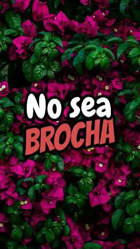 Play Frases de Costa Rica para Estados de Whatsapp as an online game Frases de Costa Rica para Estados de Whatsapp with UptoPlay