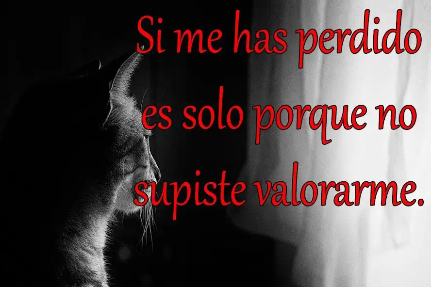 Play Frases de Indirectas as an online game Frases de Indirectas with UptoPlay
