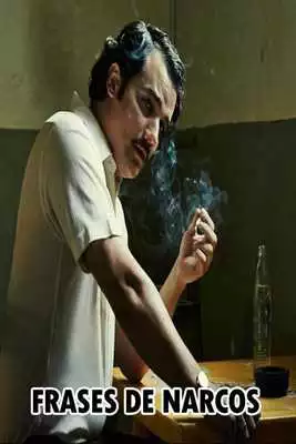 Play Frases De Narcos