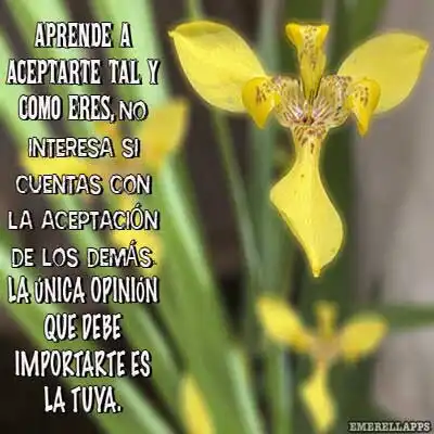 Play Frases de vida, que inspiran  and enjoy Frases de vida, que inspiran with UptoPlay