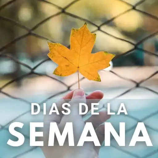 Free play online Frases Feliz Dia De La Semana APK Free play online Frases Feliz Dia De La Semana APK