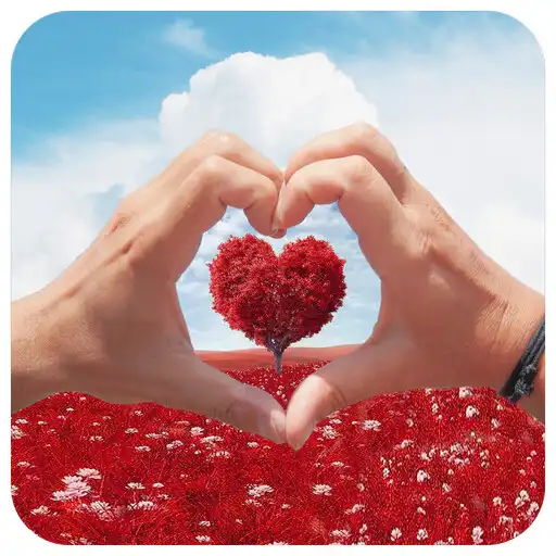 Play Frases para el 14 de Febrero APK