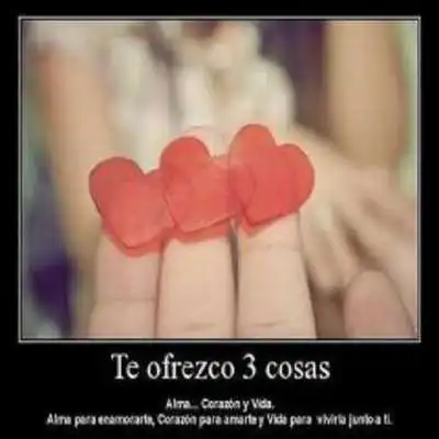 Play Frases para enamorar y fotos