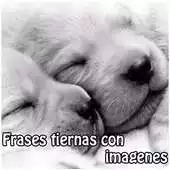 Free play online Frases tiernas con imagenes APK