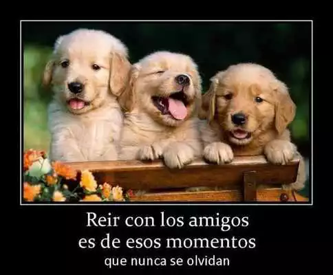 Play Frases tiernas con imagenes