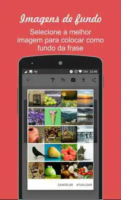 Play Frazy Frases para compartilhar