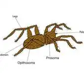 Free play online FREE 2017 KCSE KNEC PAST PAPERS APK