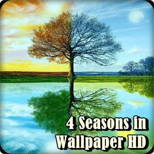 Play FREE 4 Seasons In Wallpaper HD APK