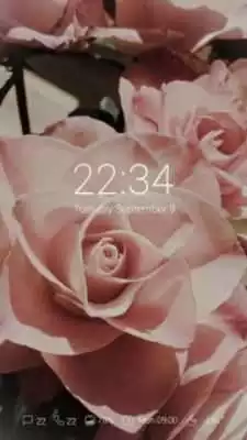 Play (FREE) Blossom GO Locker Theme