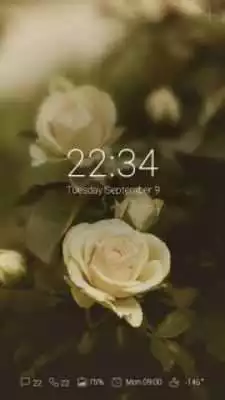 Play (FREE) Blossom GO Locker Theme