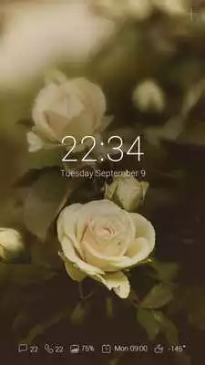 Play (FREE) Blossom GO Locker Theme