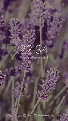 Play (FREE) Blossom GO Locker Theme