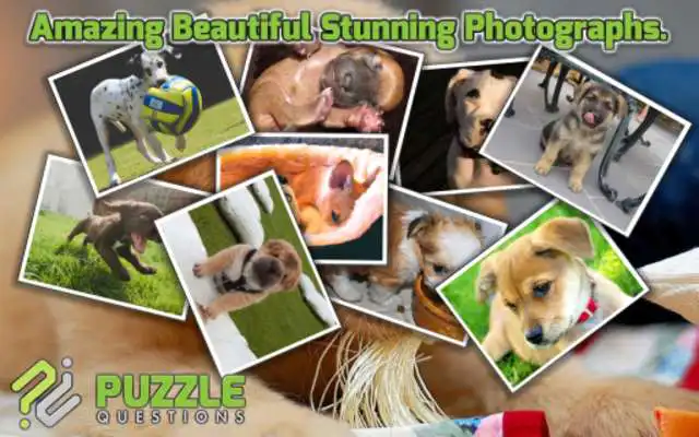 Play Free Cute Puppy Puzzle Games