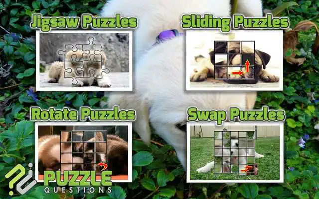 Play Free Cute Puppy Puzzle Games
