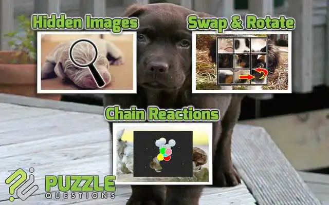 Play Free Cute Puppy Puzzle Games