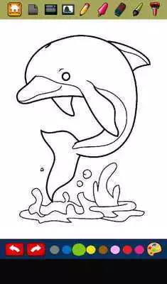 Play Free Dolphin Games