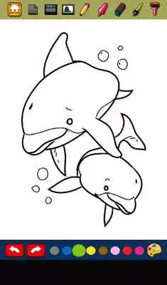Play Free Dolphin Games