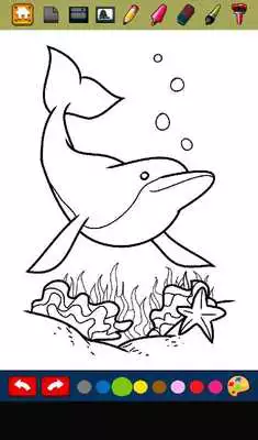 Play Free Dolphin Games