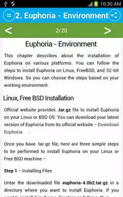 Play Free Euphoria Programming Language Tutorial