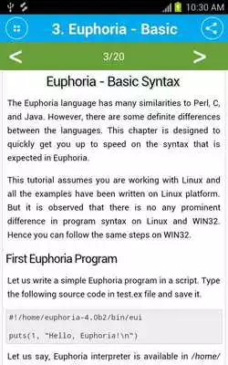 Play Free Euphoria Programming Language Tutorial