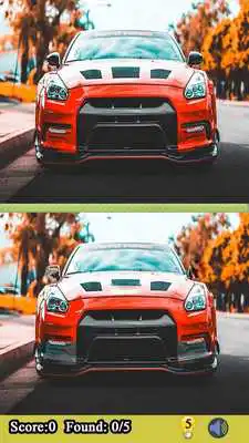 Play Free Find 5 Differences Game