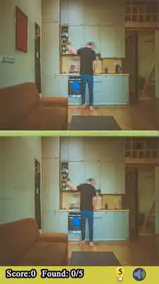 Play Free Find 5 Differences Game