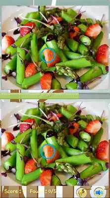 Play Free Find The Differences Game