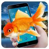 Free play online Free Fish Screen APK Free play online Free Fish Screen APK