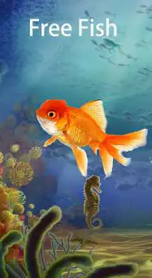 Play Free Fish Screen