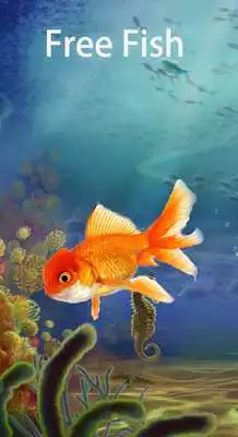 Play Free Fish Screen