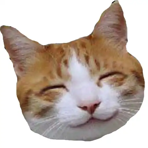 Play Free Funny Videos APK
