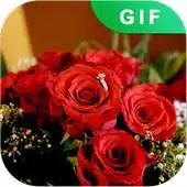 Free play online Free Gif Propose Day APK