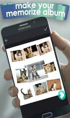 Play Free HD video reverser Play Free HD video reverser