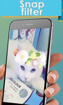 Play Free HD video reverser Play Free HD video reverser