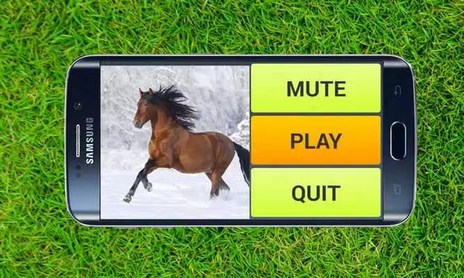 Play Free Horse Puzzles
