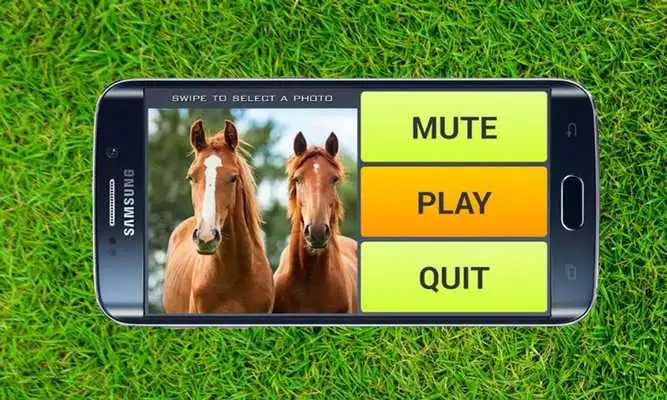 Play Free Horse Puzzles