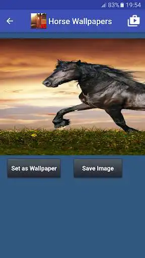 Play Free Horse Wallpaper : Horse Wallpapers  and enjoy Free Horse Wallpaper : Horse Wallpapers with UptoPlay