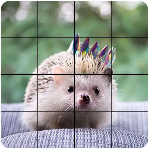 Play Free Jigsaw Tile Pets APK Play Free Jigsaw Tile Pets APK