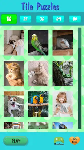 Play Free Jigsaw Tile Pets  and enjoy Free Jigsaw Tile Pets with UptoPlay