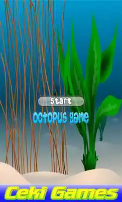 Play Free Kid Octopus Game