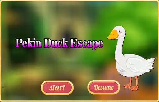 Play Free New Escape Game 97 Pekin Duck Escape  and enjoy Free New Escape Game 97 Pekin Duck Escape with UptoPlay