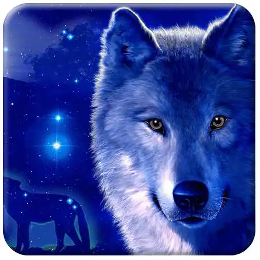 Free play online Free Night Wolf Wallpaper APK Free play online Free Night Wolf Wallpaper APK